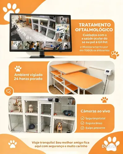Tratamento Oftamologico Cão.