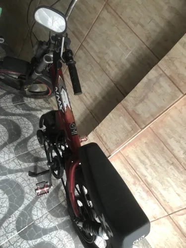 Bicicleta motorizada