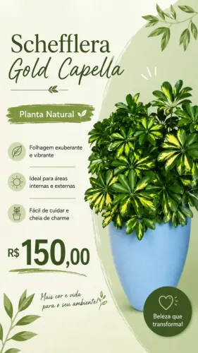 Vaso de plantas