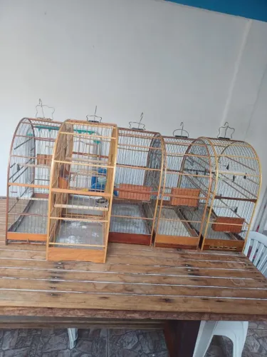 Vendo 5 gaiolas usada top