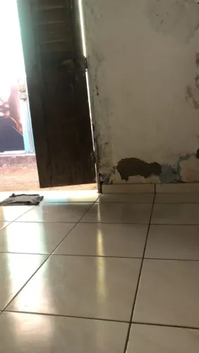 Vendo casa 25mil leia as informações