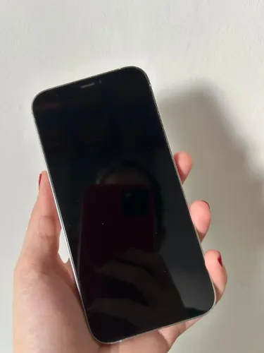 iPhone 12 Pro
