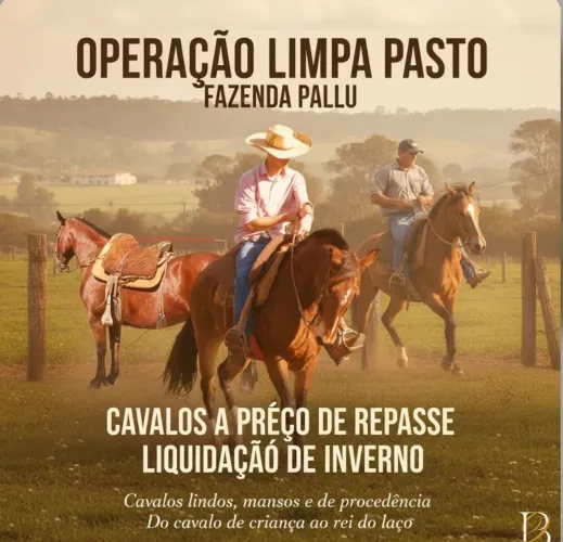 Cavalos a preço repasse fazenda Pallu 