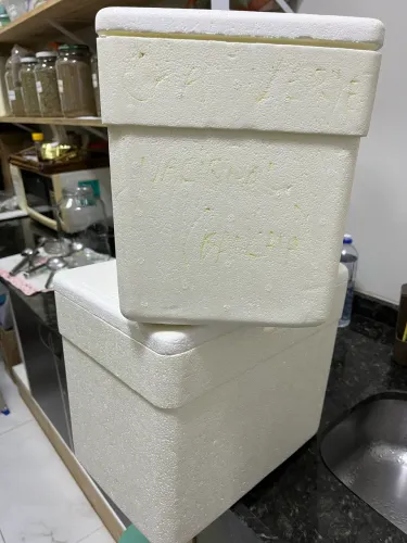 Caixas de Isopor para lojas comerciais