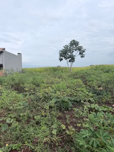 Chácara terreno Assentamento São Francisco, próximo ao lago com 1000m2 poço artesiano.