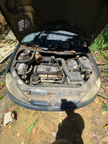 Peugeot 206 Moonlight 1.4 Flex 8V 3P 2008