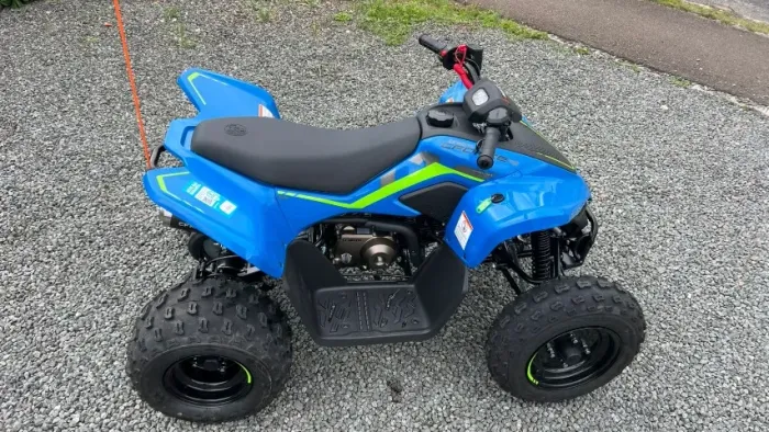 Mini Quadriciclo Infantil Cfmoto - CForce 110 LV 