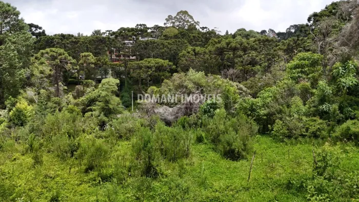 Exclusiva Área de Terreno à Venda na Região de Capivari - Campos do Jordão/SP