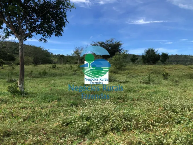 Fazenda a venda em Goiás 484 Hectares ou 100 Alqueires para criação de gado