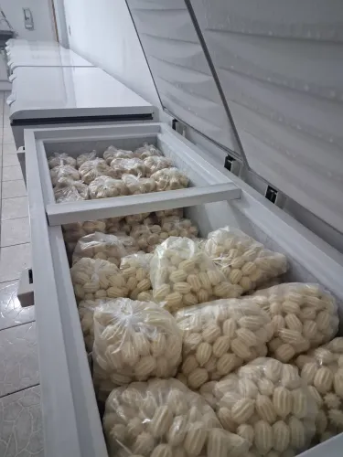 Salgados congelados para festa e eventos