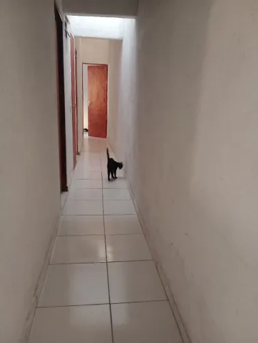 Casa com piscina, 4 dormitórios 