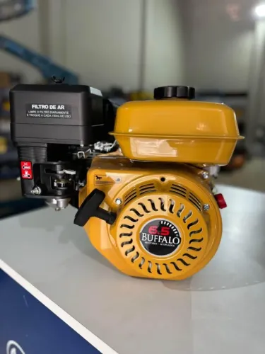 Motor a Gasolina 6.5 Hp 196cc 4 Tempos Profissional - Buffalo (Novo)