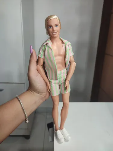 Ken boneco o dia perfeito 