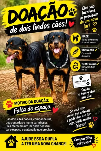 Doação