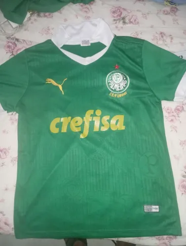 Camisa palmeiras