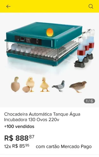 Chocadeira automatica