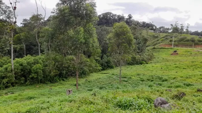 Terreno 1,6 hectares para Sítio, Água de Fonte, Barro Branco, São Pedro de Alcântara SC