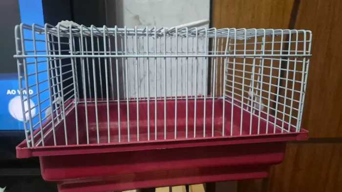 Gaiola de Hamster