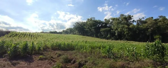 Área de terra bairro Arroio Bonito, São José Do Hortêncio. RS Ref.:86