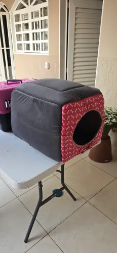 Caminha e Toca para cães e gato