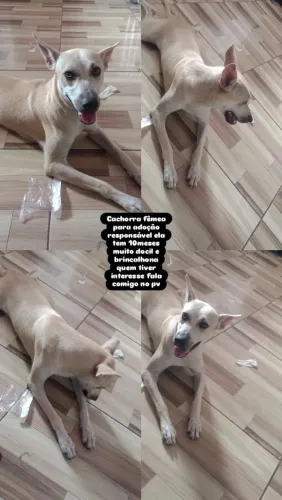 Doação