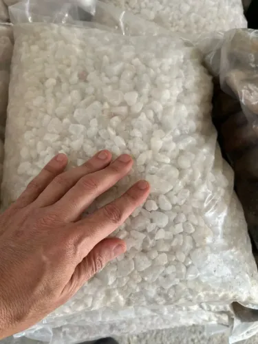 Pedras para jardim