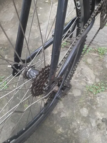 bicicleta