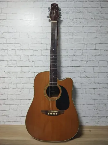 Violão Strinberg folk Aço