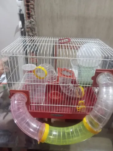 Gaiola para hamsters Bragança com assessórios 