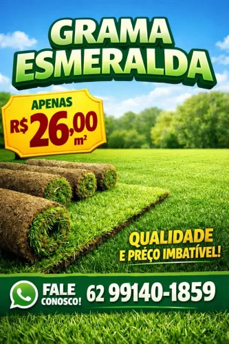 Gramas já plantada R$26,00 o metro 