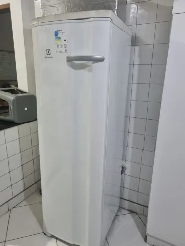 Freezer vertical