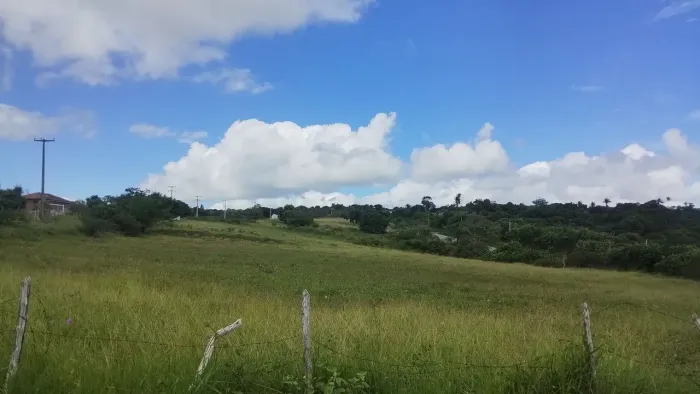 Sítio na beira estrada em Lagoa Seca 
