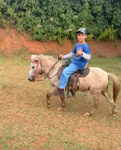 Pônei