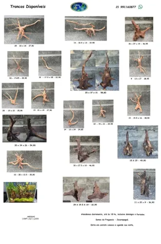 Troncos naturais para ornamentação de aquários