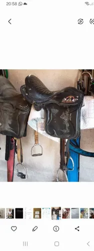 Assessórios para cavalos
