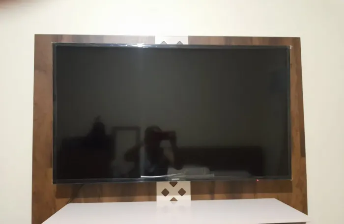 Televisão