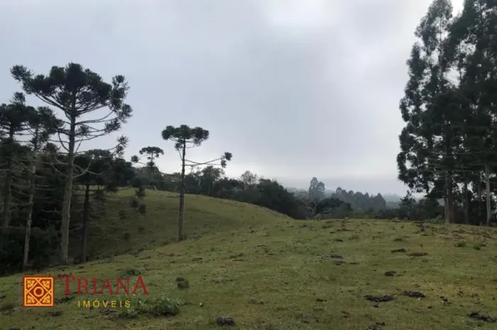 TERRENO DE 12 HECTARES COM FÁCIL ACESSO