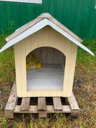 Casinha de cachorro 