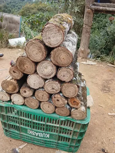 Lenha para lareira ou fogao