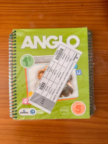 Material Anglo 1o ano 3o bimestre