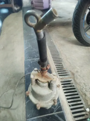 Bomba sapo