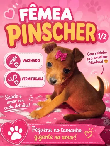 Fêmea mega esperta ?