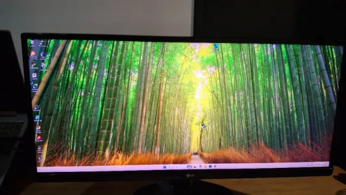 Monitor LG UltraWide 25UM58G 25" IPS Full HD - Para Conserto ou Retirada de Peças