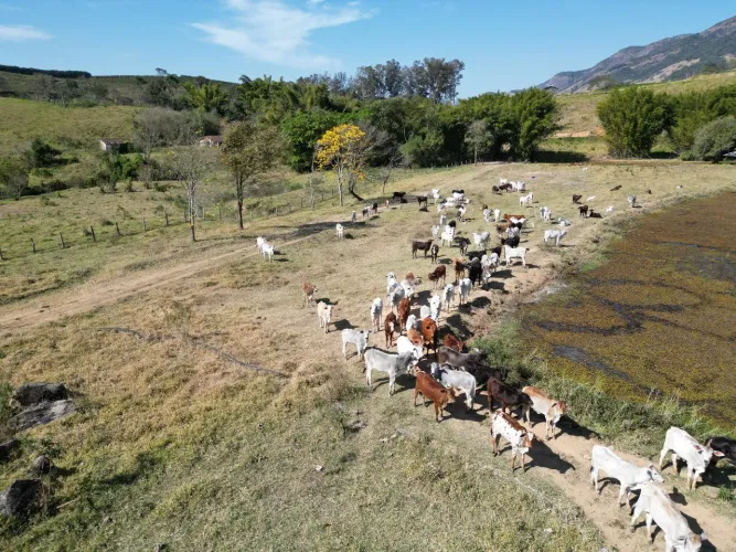 Fazenda a venda em Andradas, sul de Minas Gerais