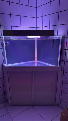 AQUÁRIO 490L COMPLETO PARA USO