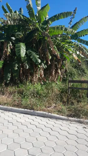 Vendo lote no centro Águas mornas sc 
