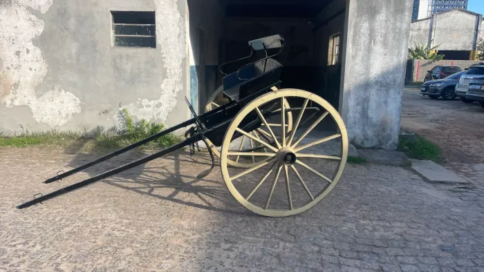 Charrete faéton aranha 