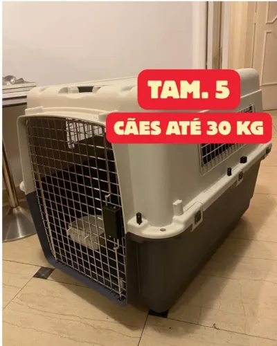 Caixa de Transporte Pet Avião - n. 5 Inter