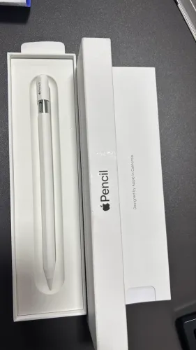 Apple Pencil USB-C Original - A3085 - Novo na Caixa