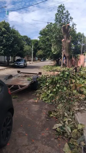 Carretinha prancha